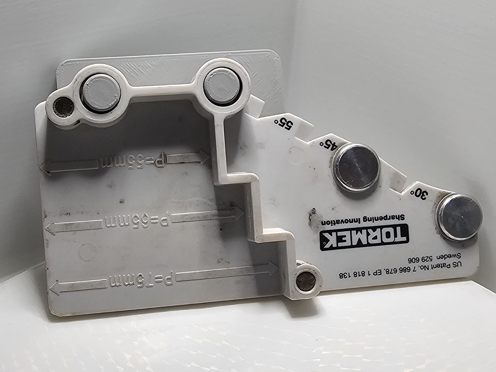 HSW Tormek TTS-100