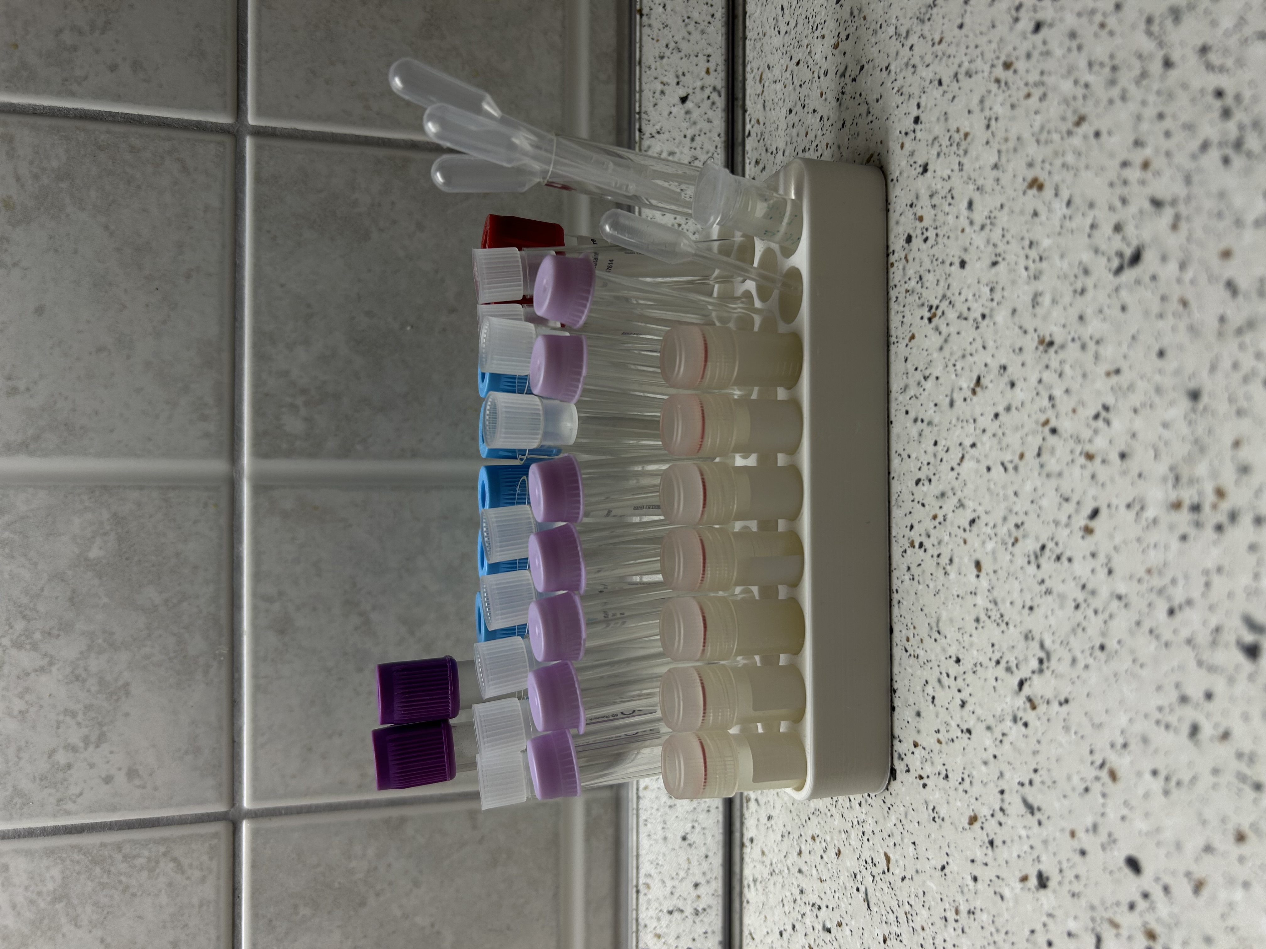 Test tube stand