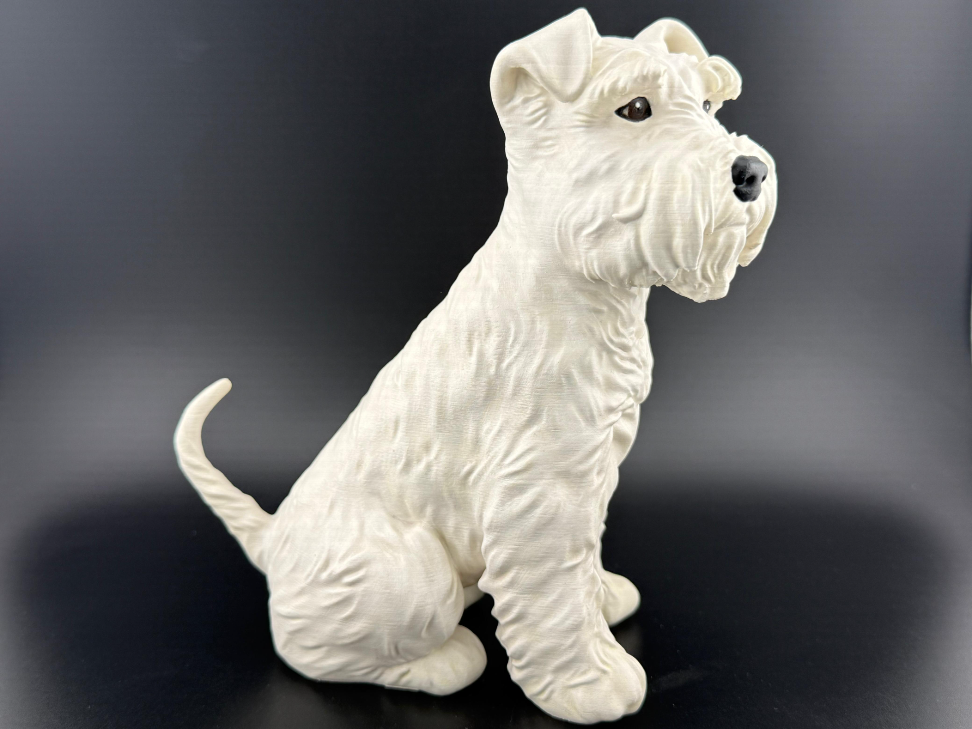 Schnauzer (mini) 12cm