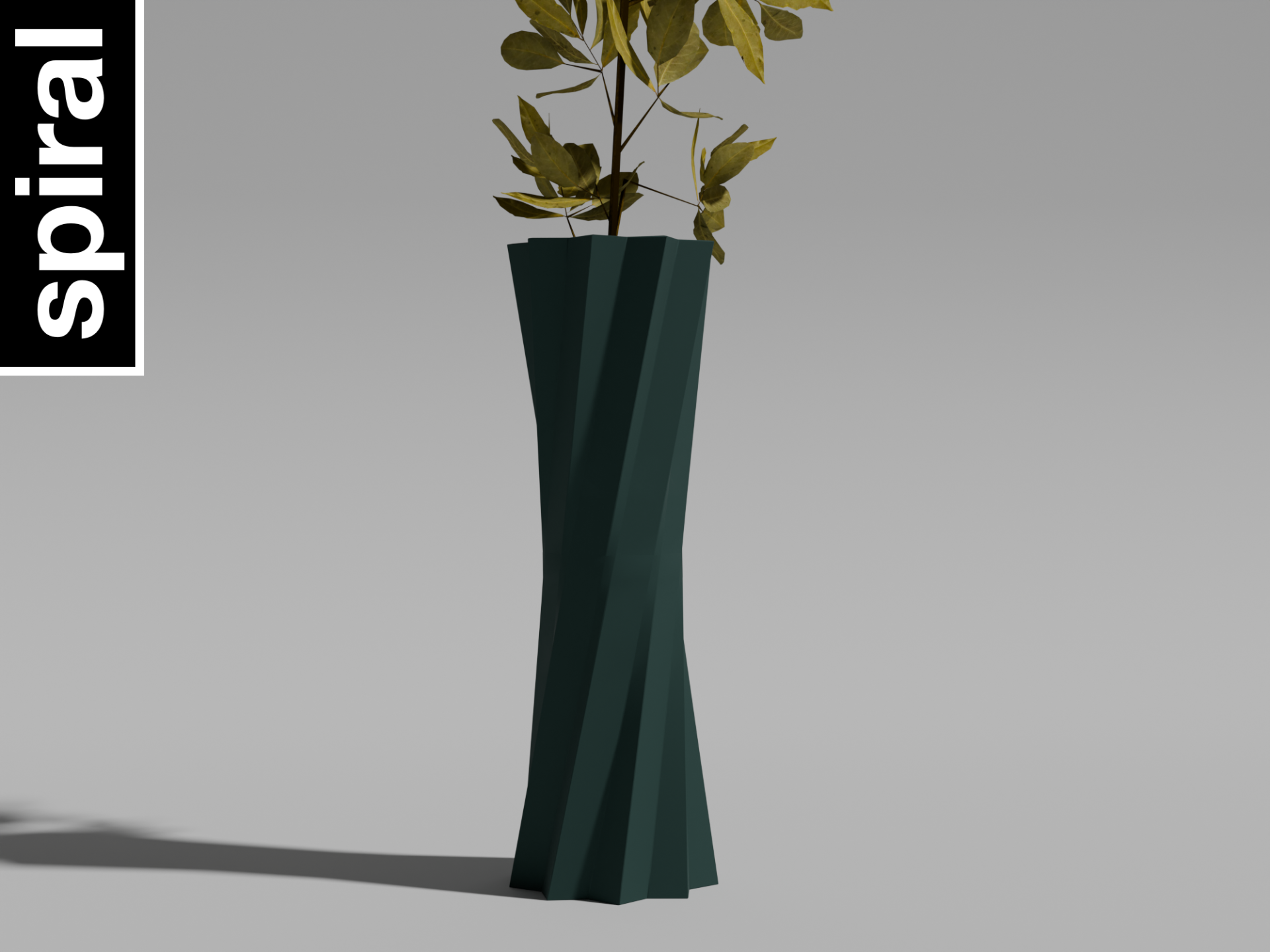 Spiral |Vase
