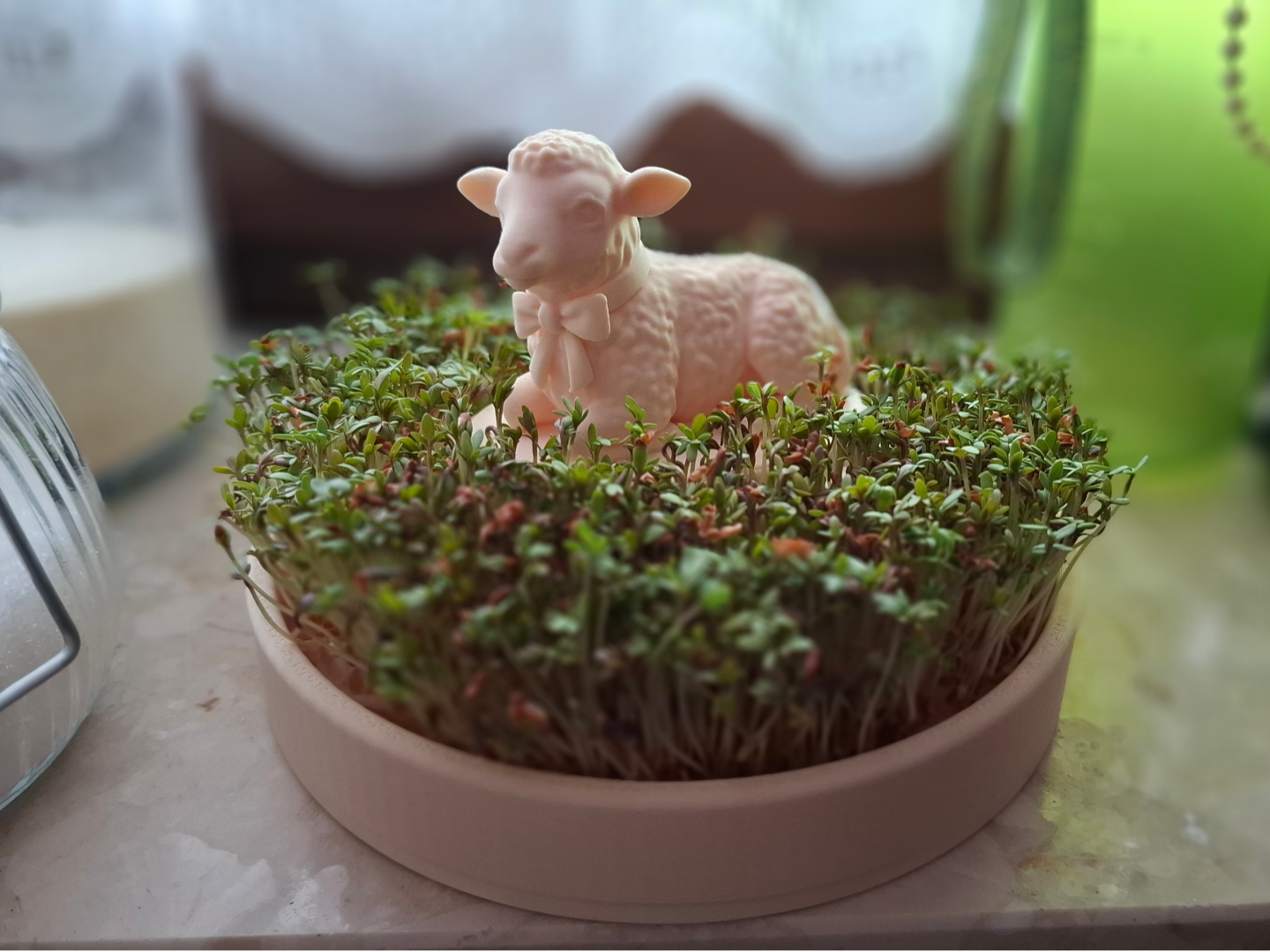 Cress tray for Easter