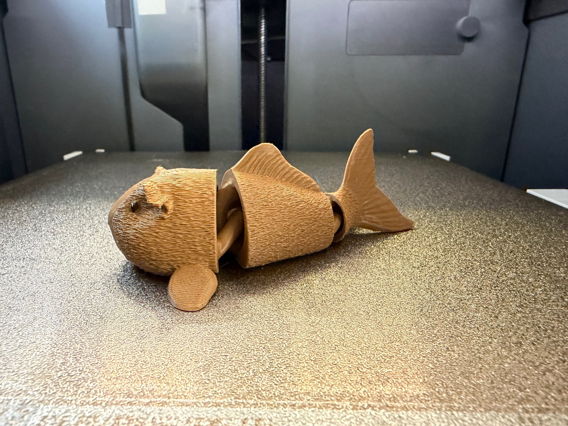 Flexi Meerschweinchen