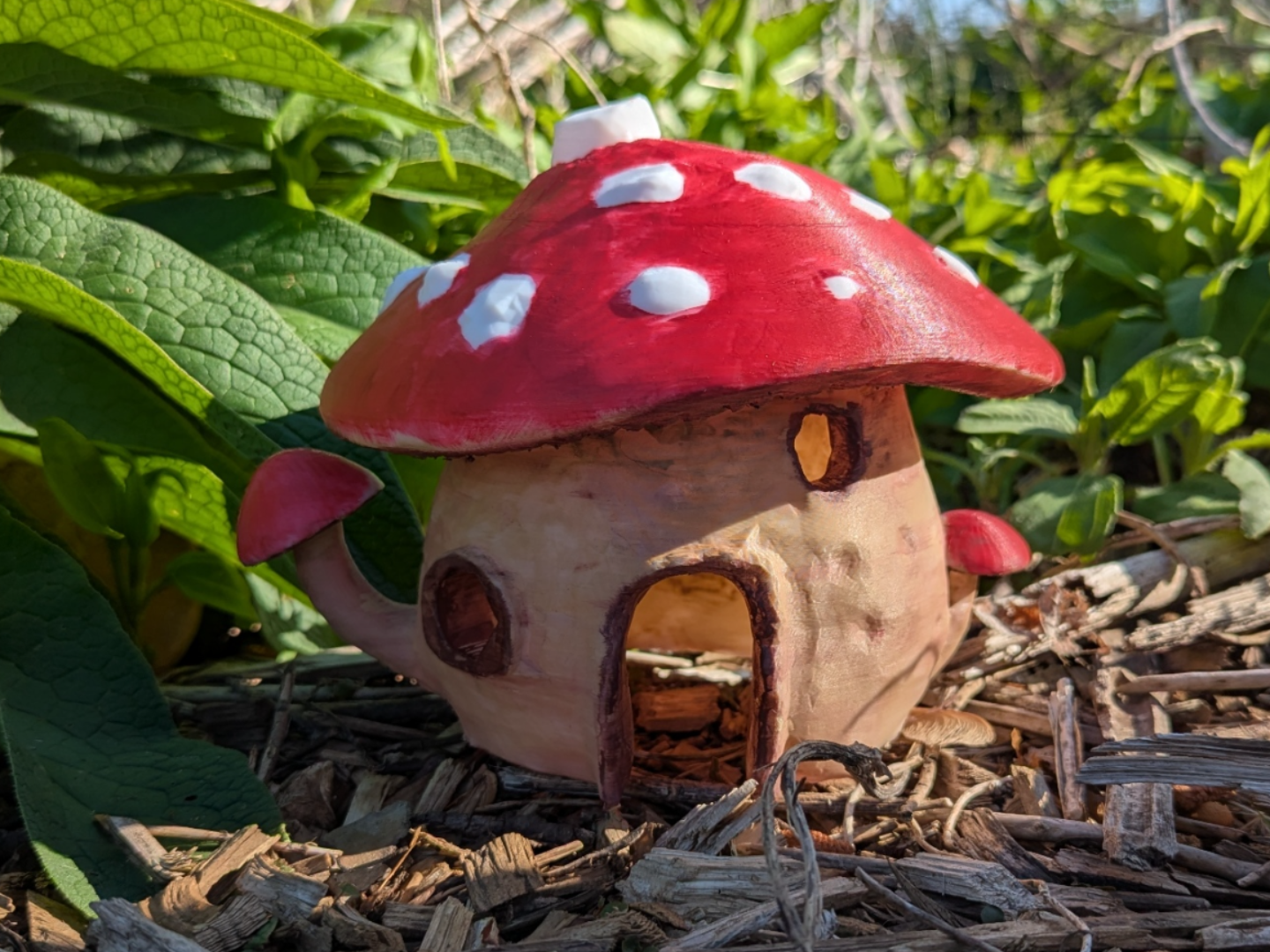Enchanted Toad Bodega  Pest Control Mushroom House
