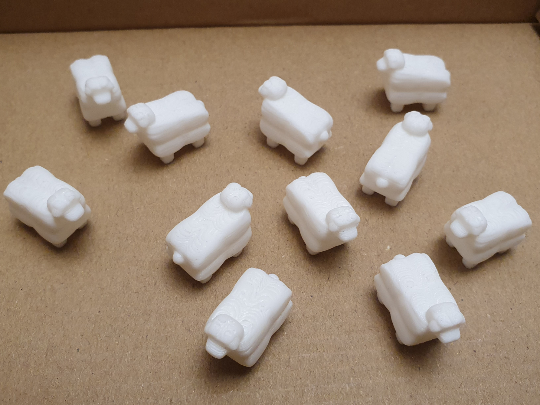 Sheep model