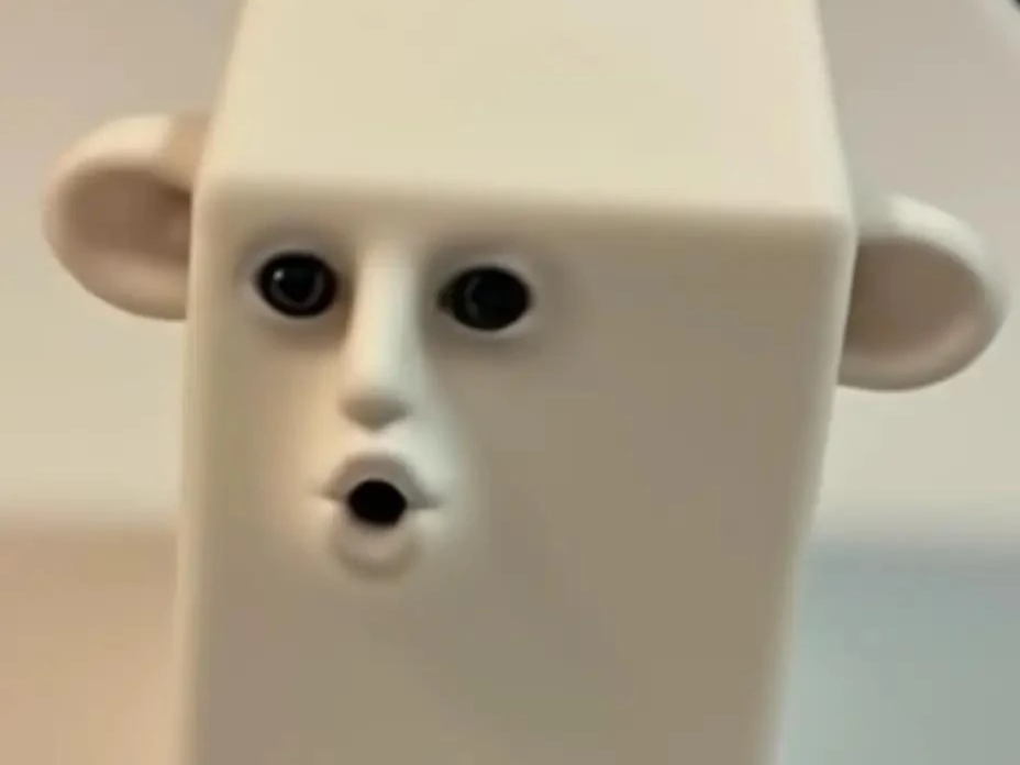 jon mud block