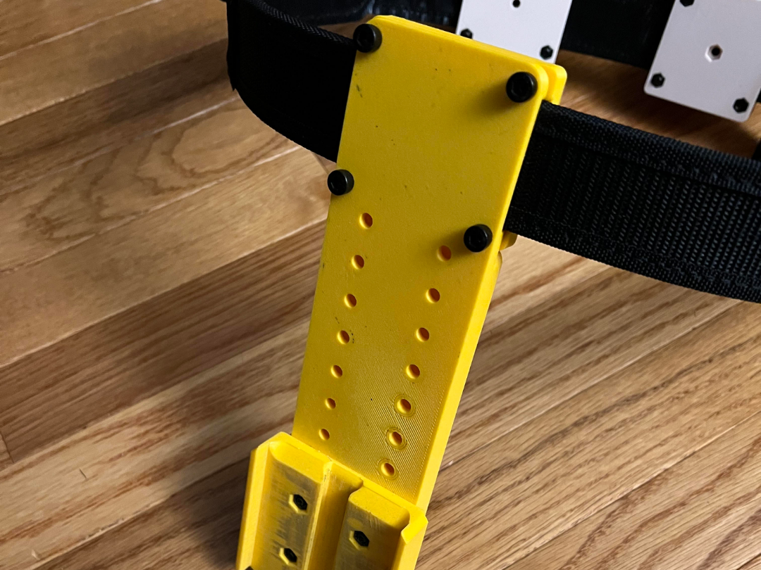 DQLS Holster Mount