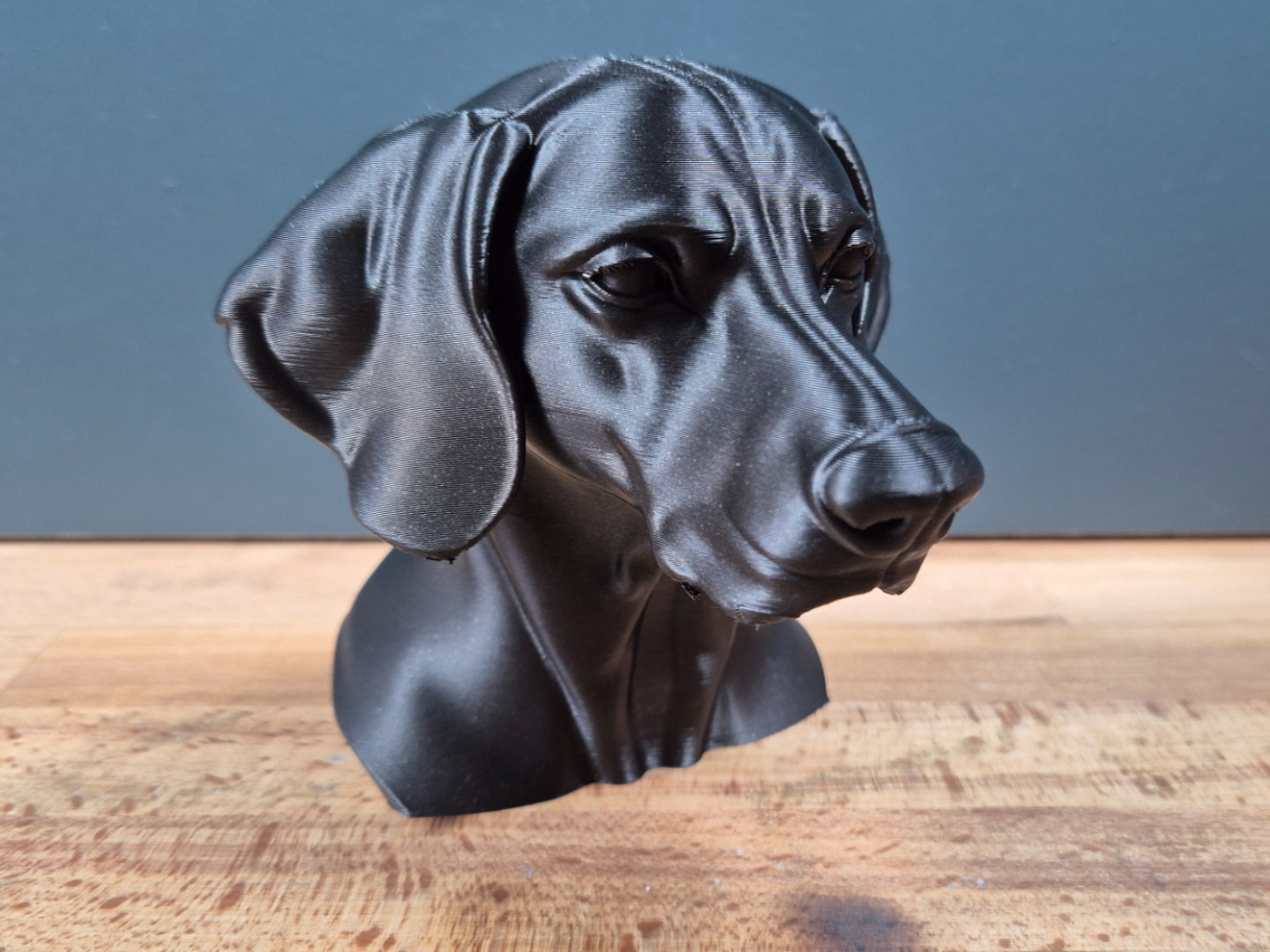 Weimaraner Bust