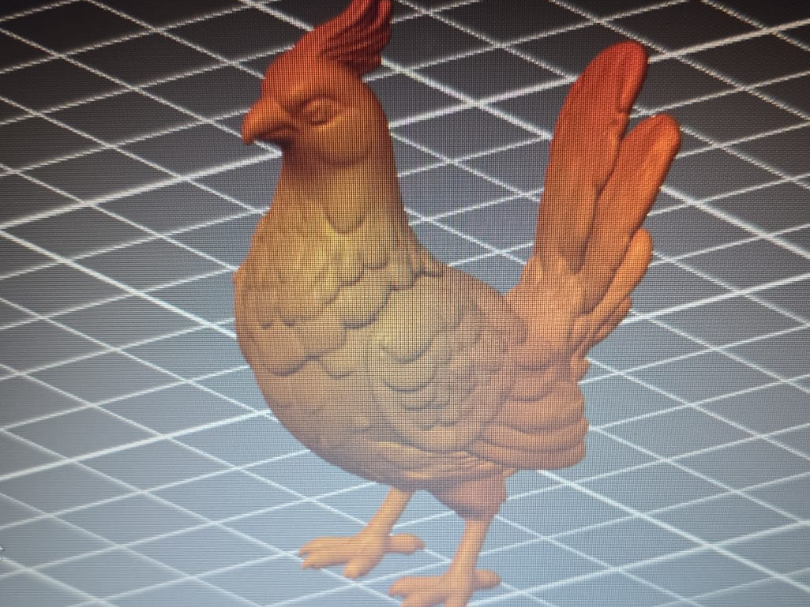 gallo