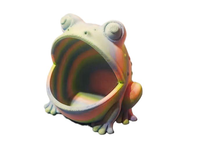 žába