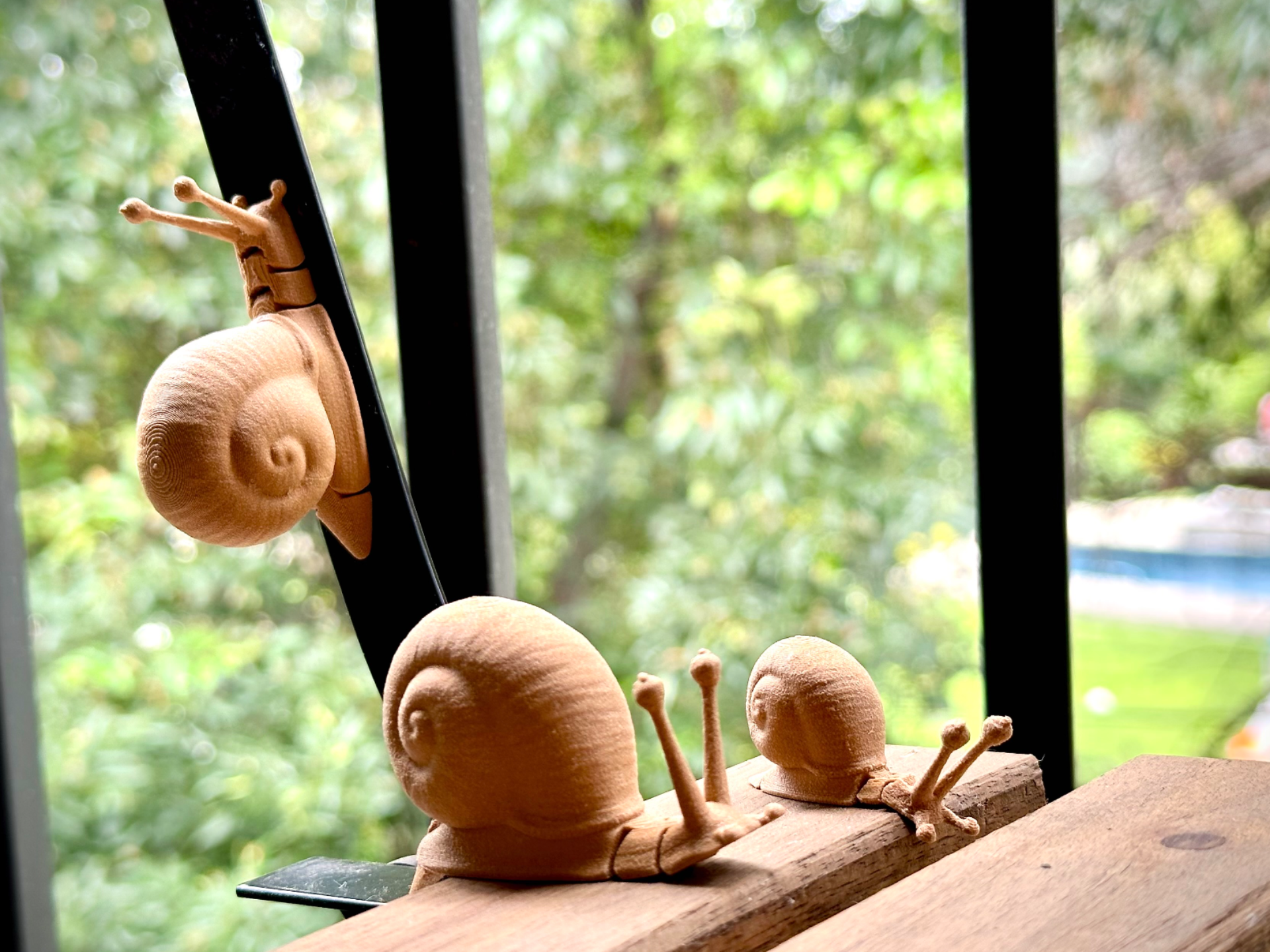 Flexi Snail