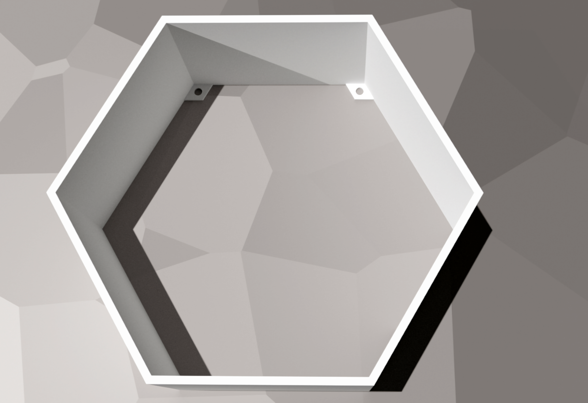 Honeycomb Shelf