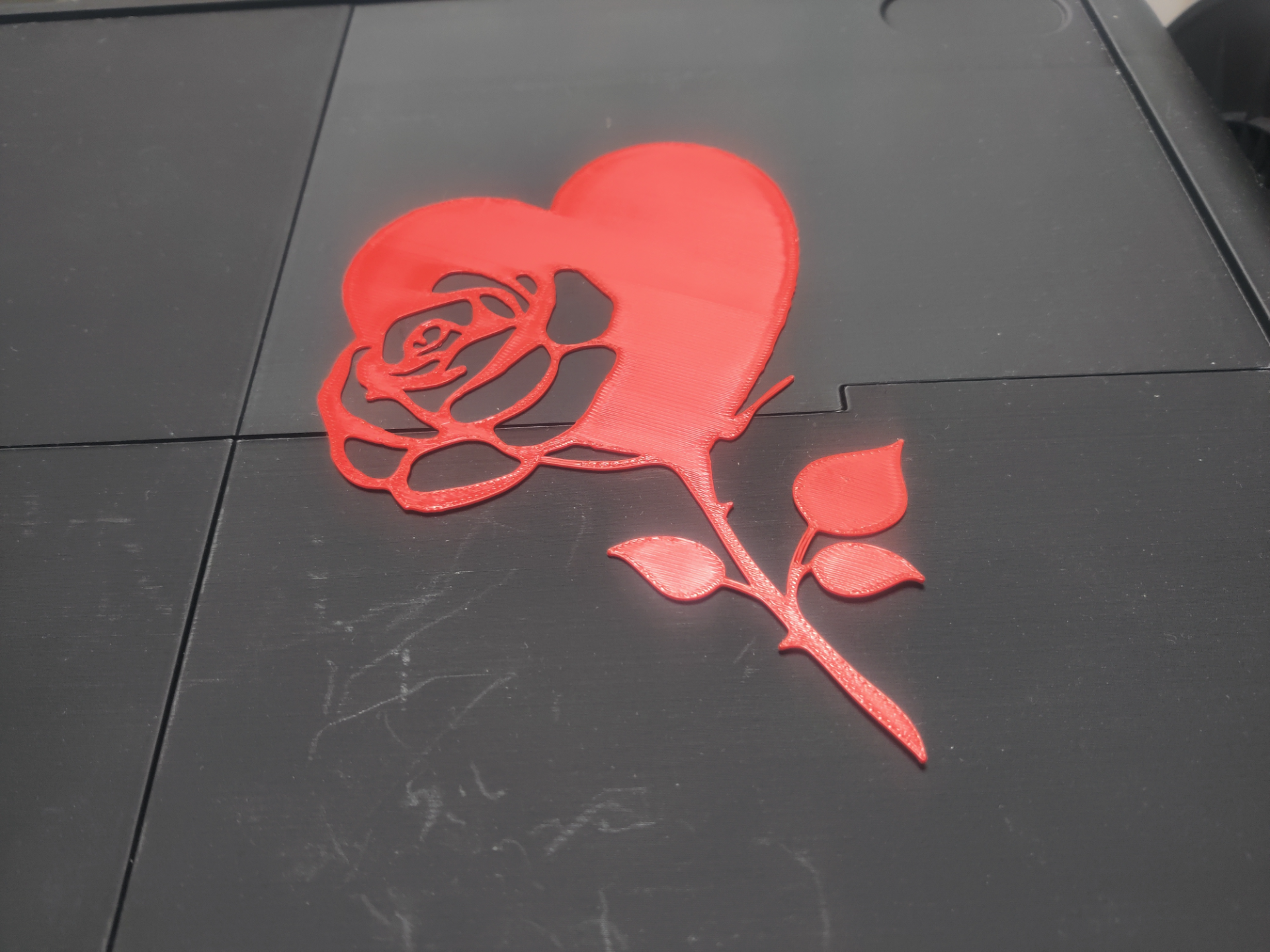 Valentine roseheart