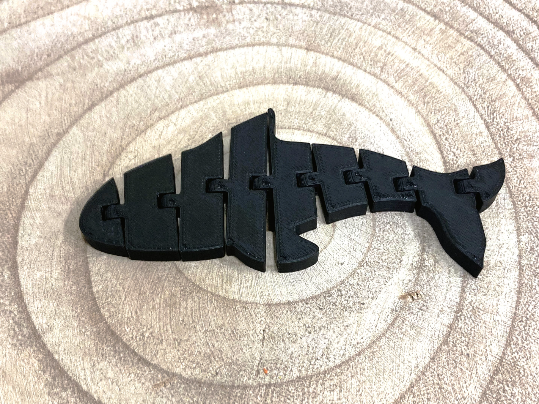 Articulated Orca / Orca articulada