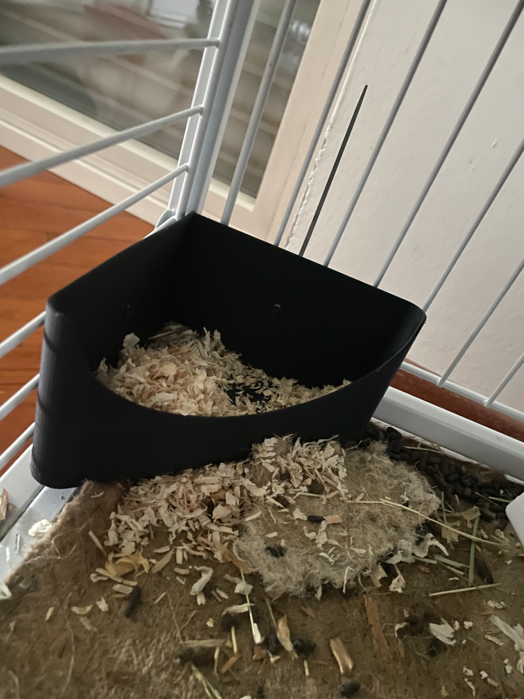Corner litter box for rodents