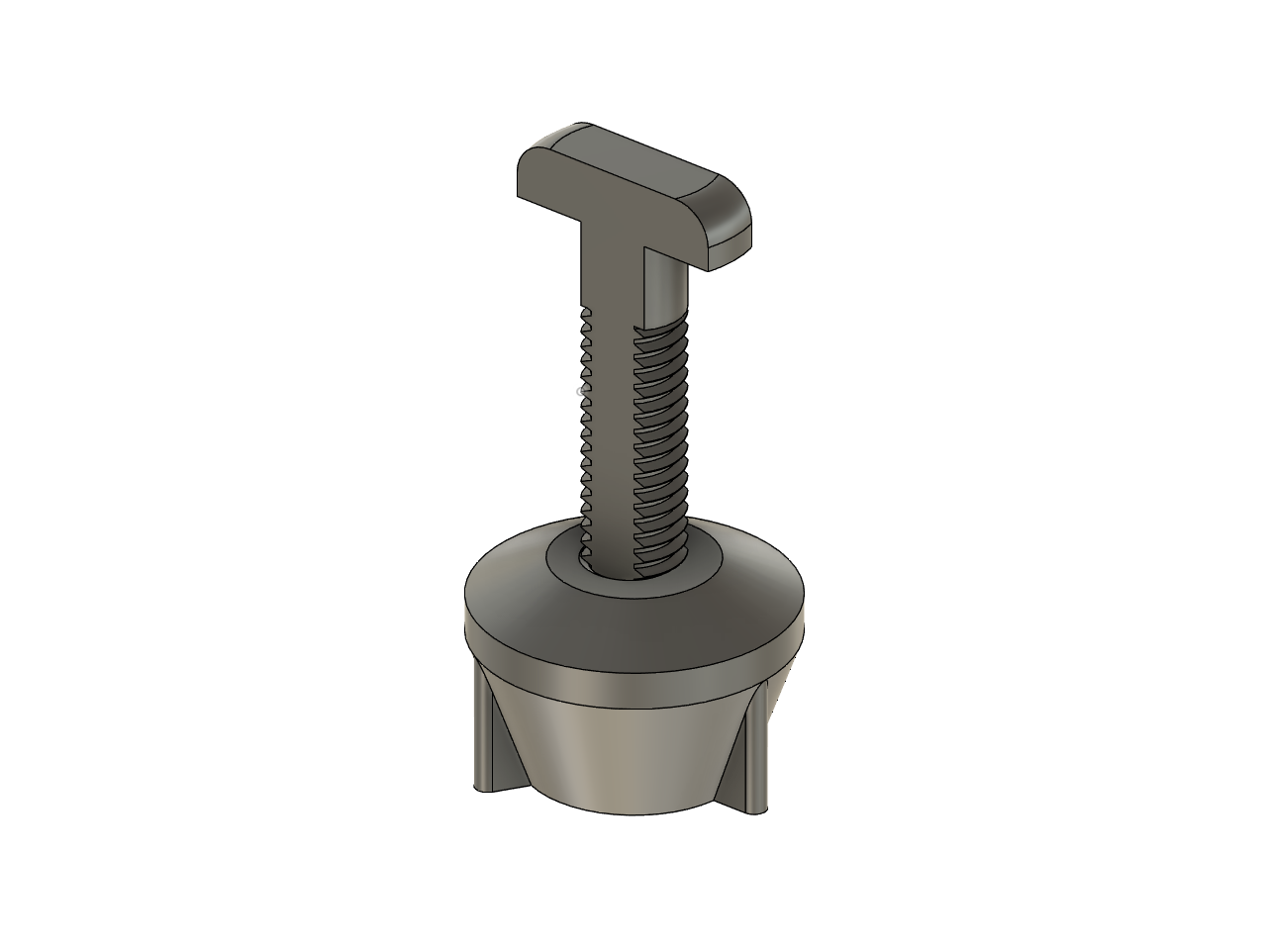 Toilet Seat Nut and Bolt