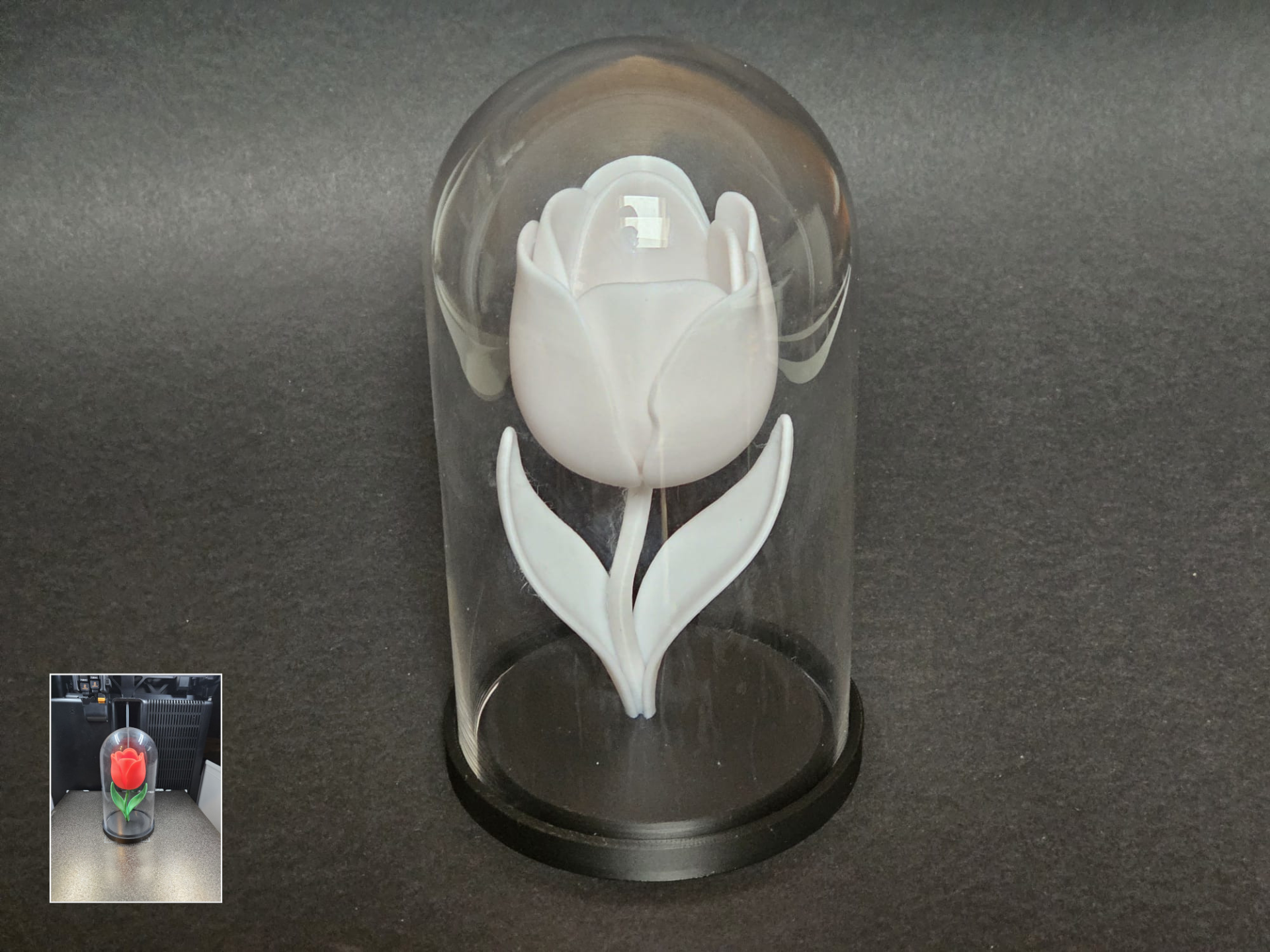 Elegant 3D Tulip in BEGÅVNING Glass Dome No AMS