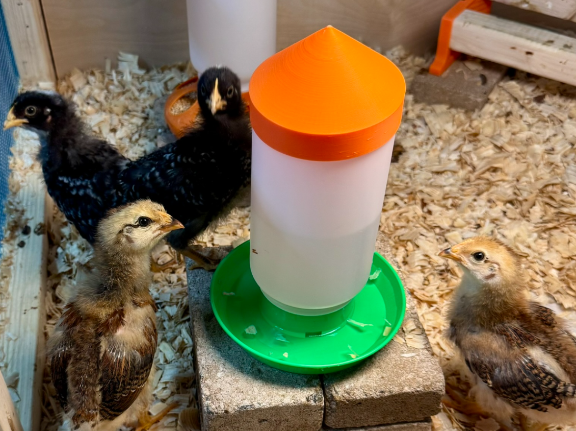 Anti-roost Cone