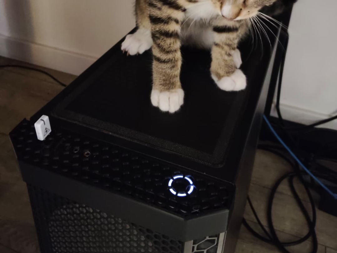 Anti-Cat PC Power Button Guard