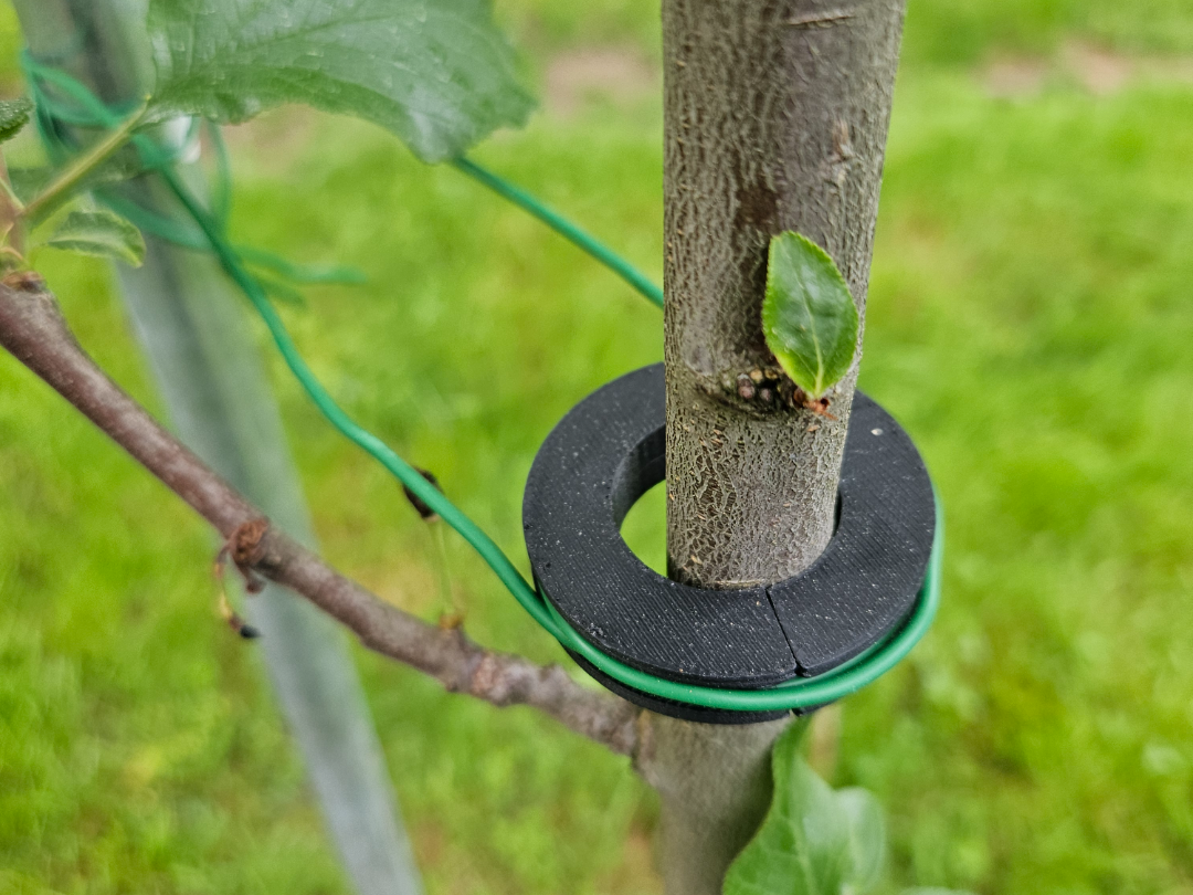 Tree Clip