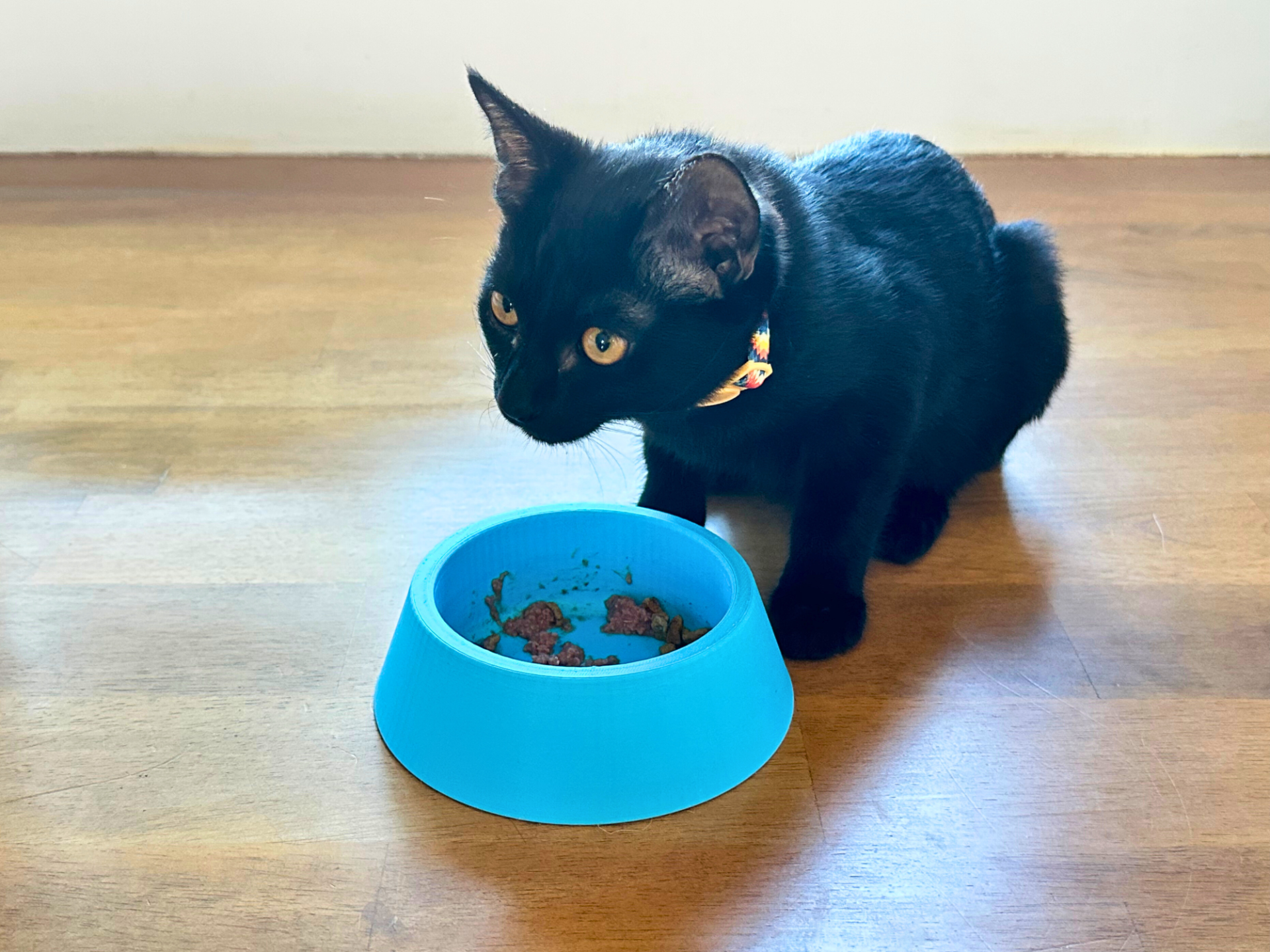 Anti-Tip Cat & Dog Bowl (Water & Food)