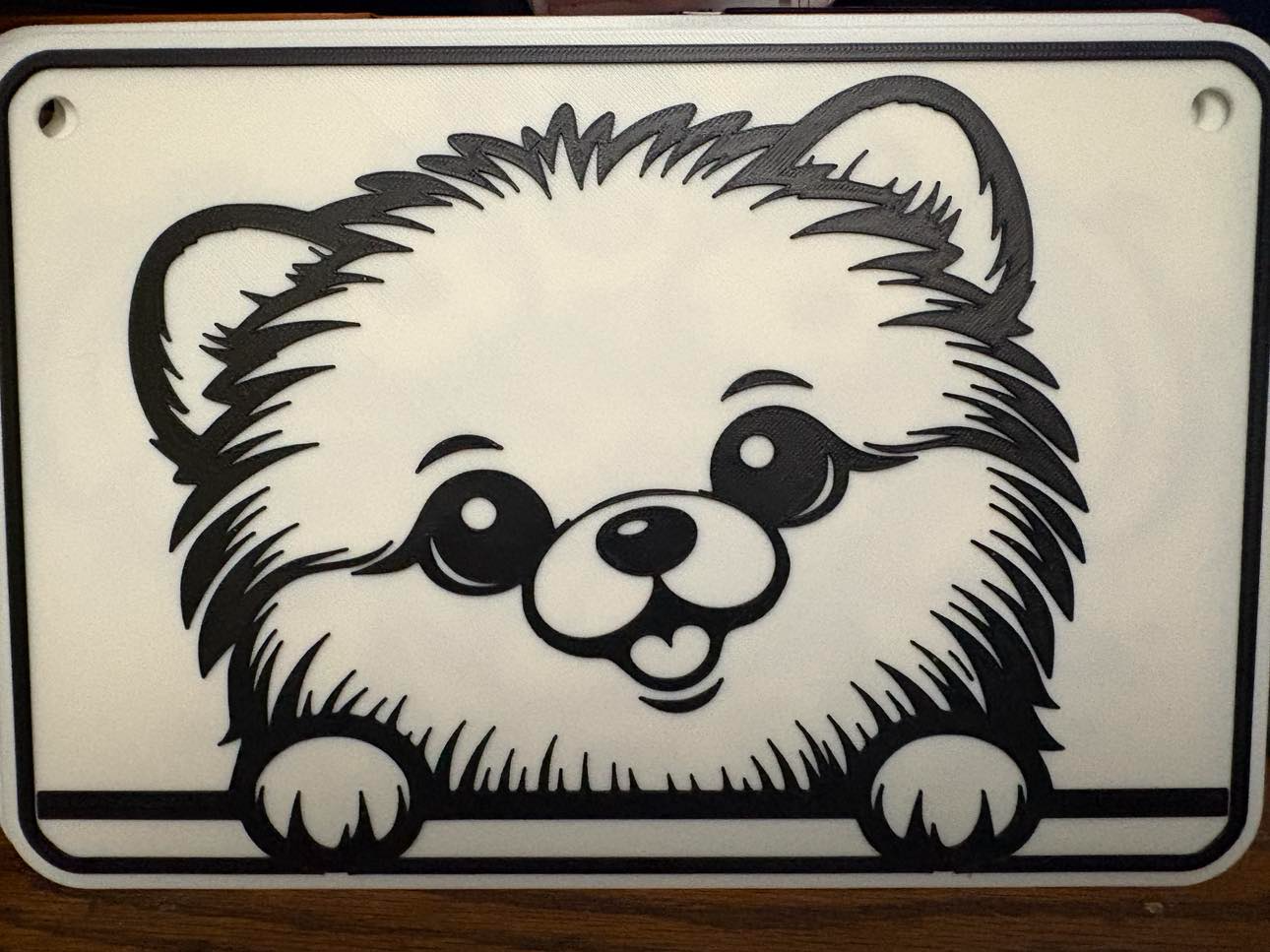 pomeranian