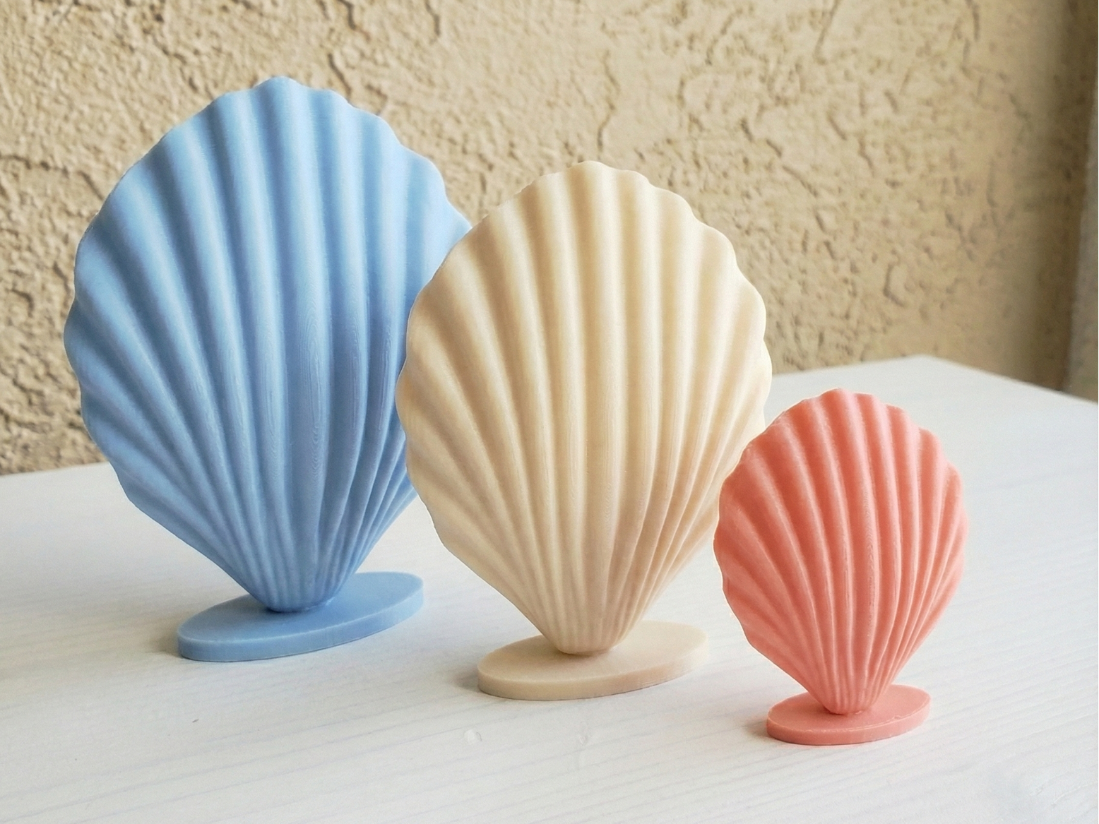 Elegant Standing Seashell Minimalist Coastal Decor