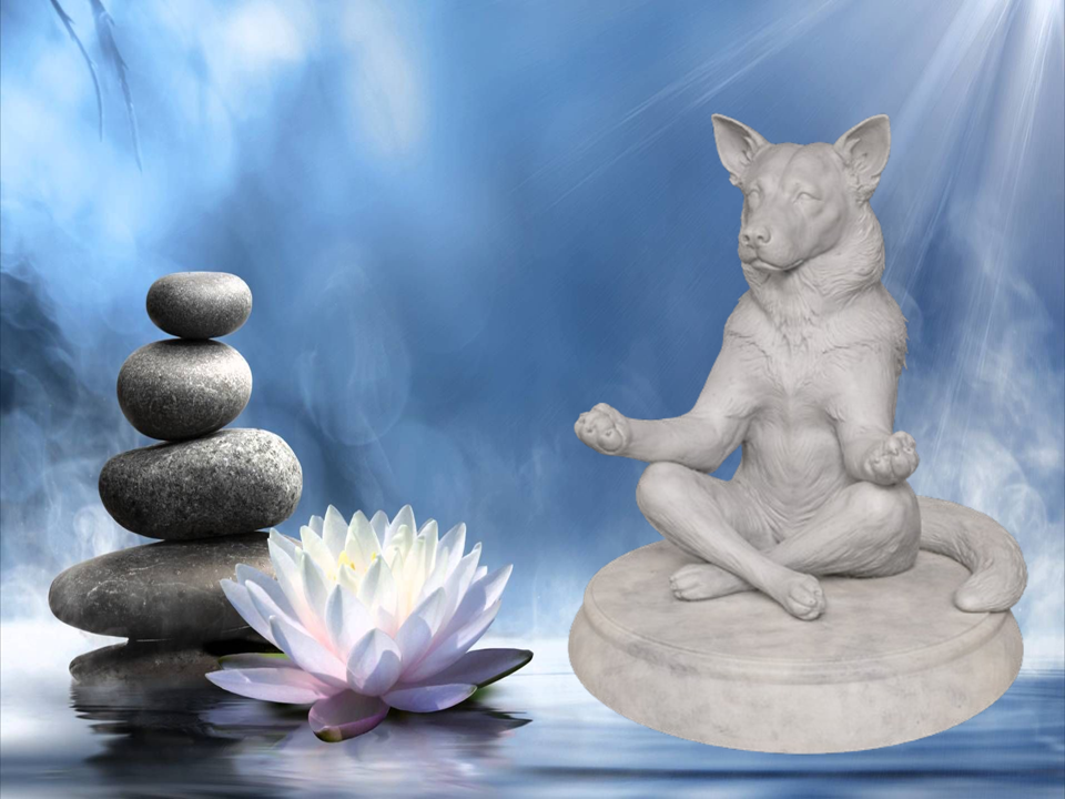 Zen Dog - Australian Cattle Dog