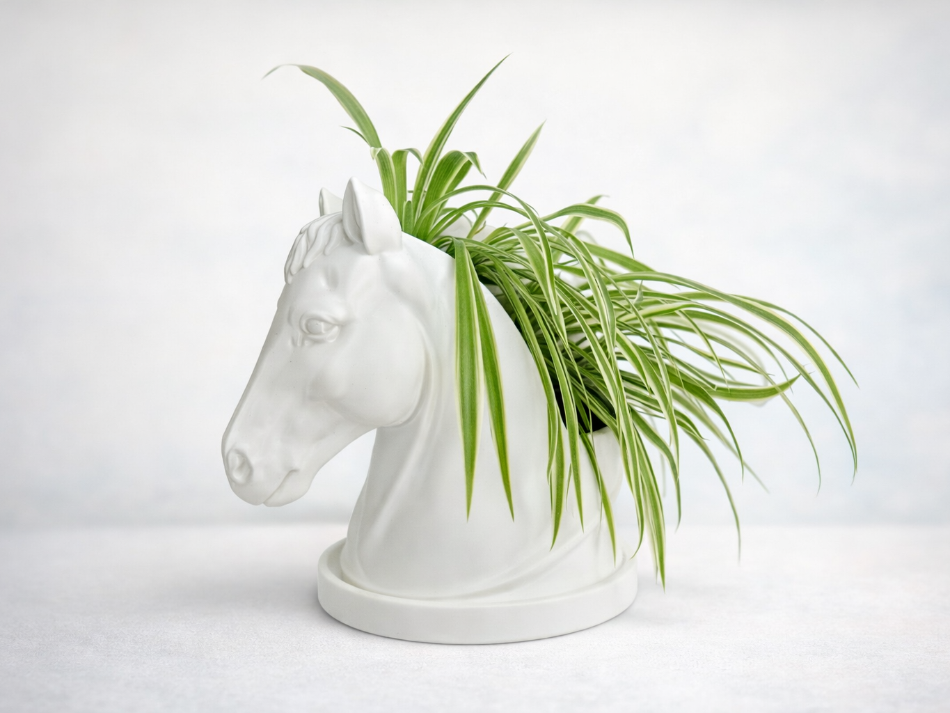 Living Mane – Horse Head Planter