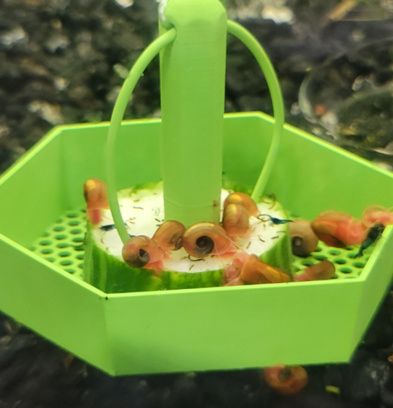 Snail trap
