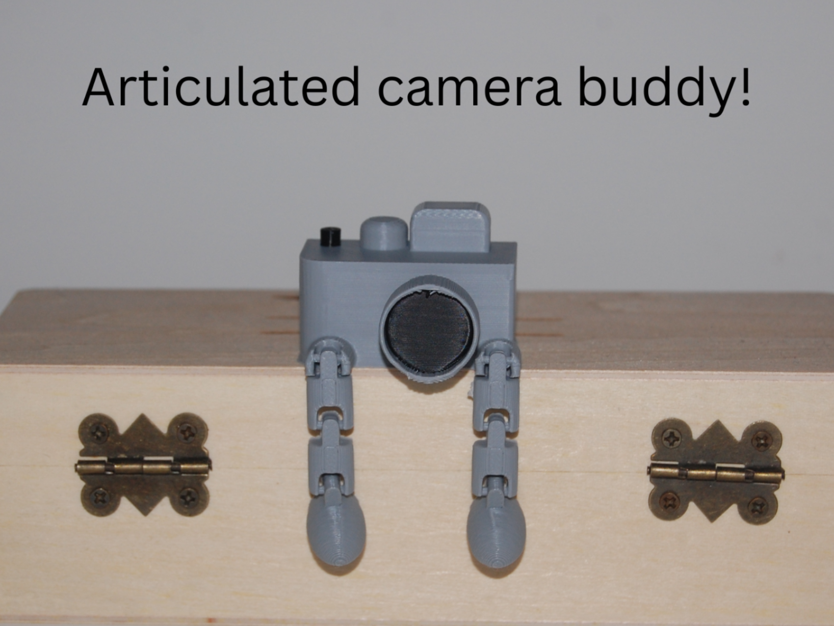 articulated camera buddy