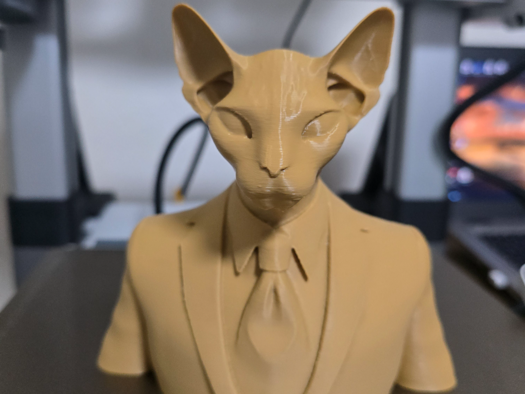 sphynx with suit