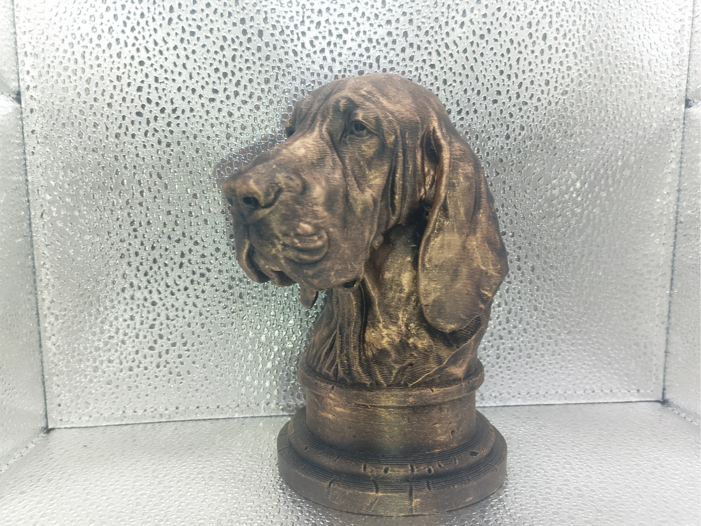 Bracco Italiano Bust