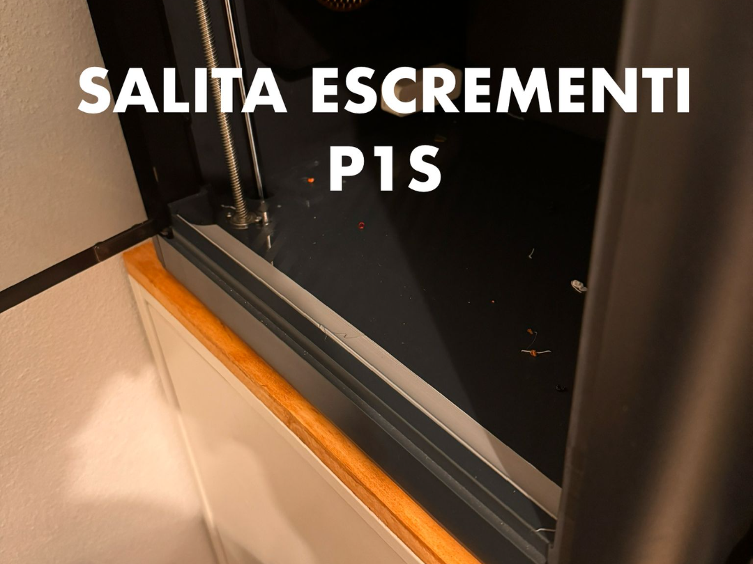 salita per uscita rapida rifiuti P1S - upgrade