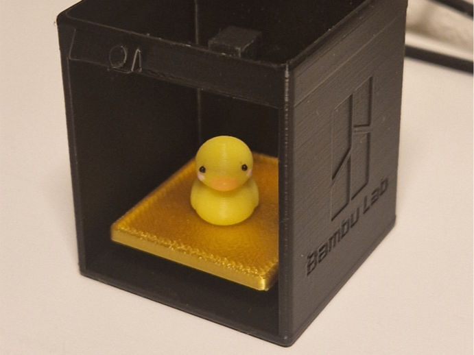P1S Mini