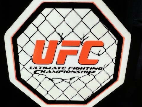UFC Light Box 7.5 inch