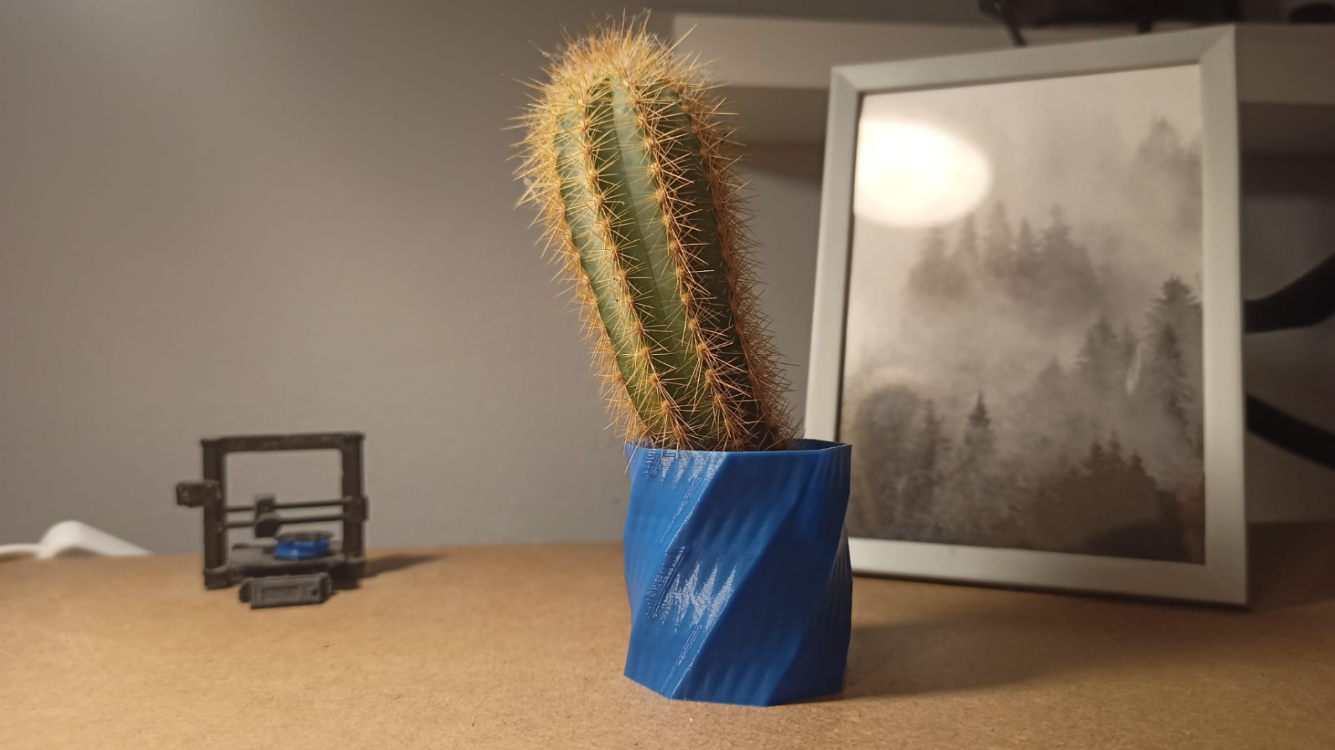 Minimalist Spiral Plant Pot