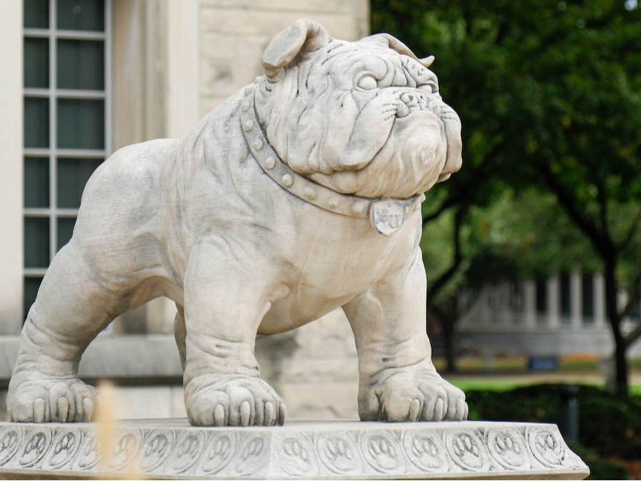 Butler University Statute (AI)