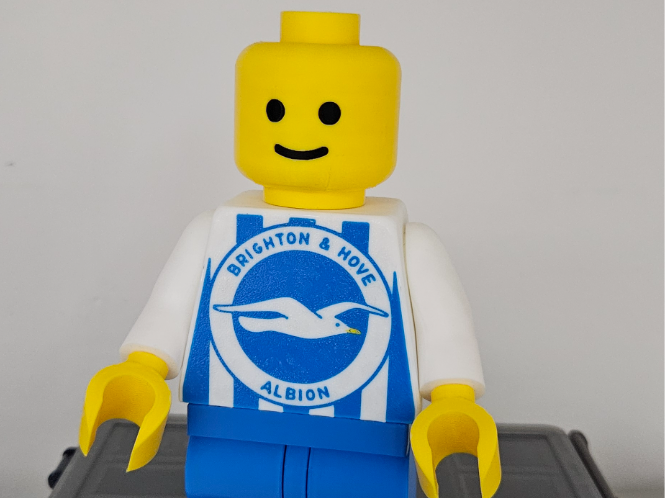 Brick Man Brighton and Hove Albion 20cm