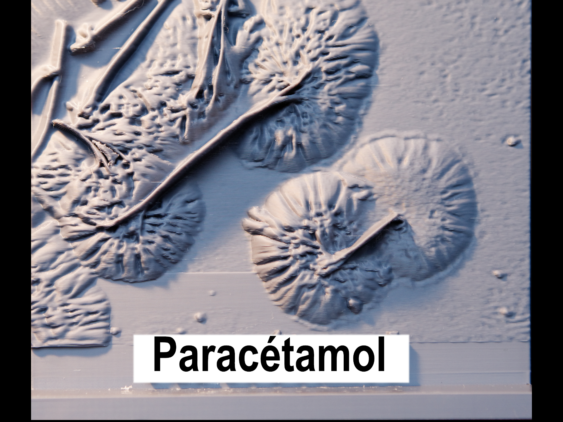 Projet microphotographies en 3D, paracétamol (2)