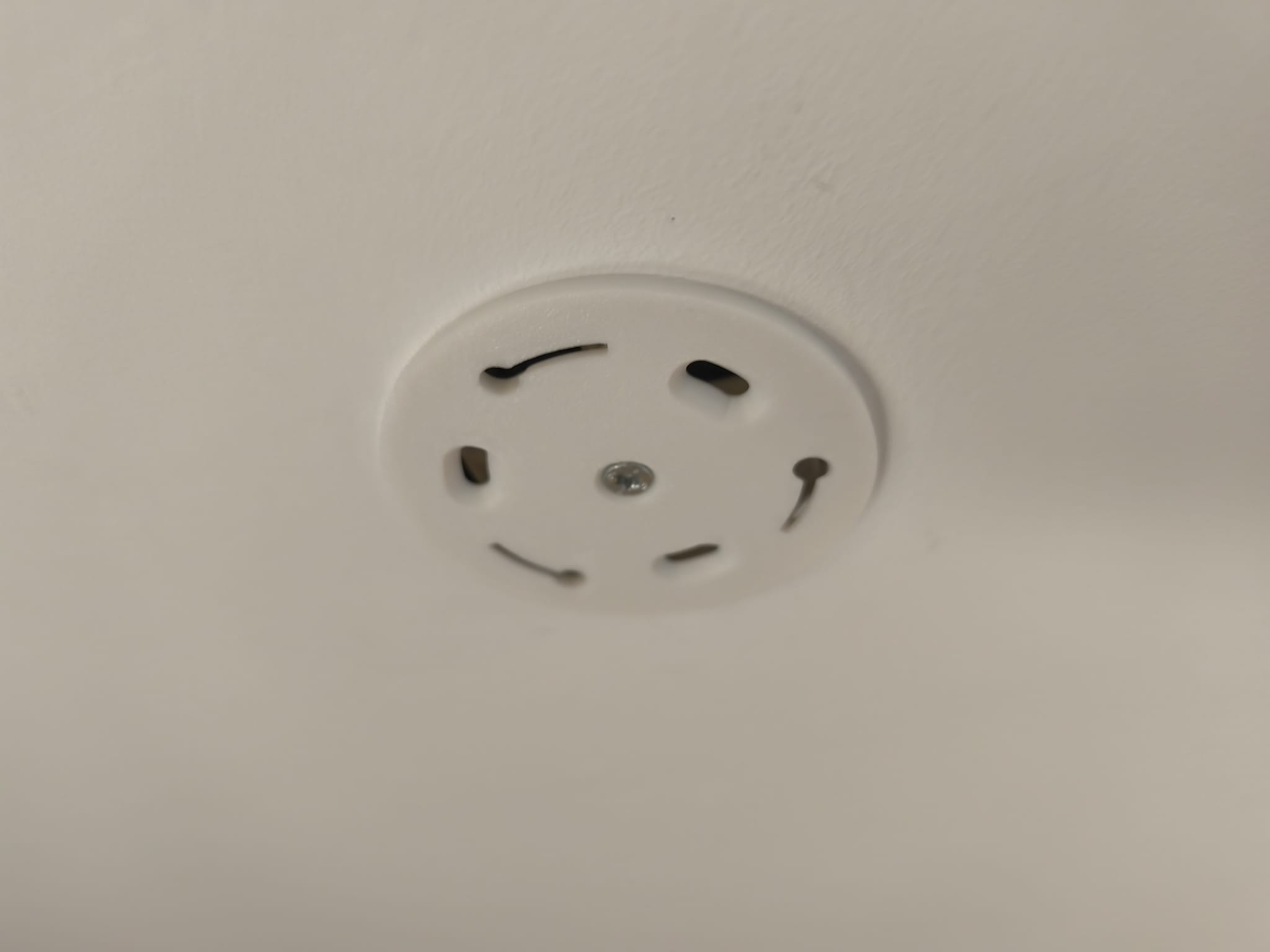 Shelly Smoke Adapter