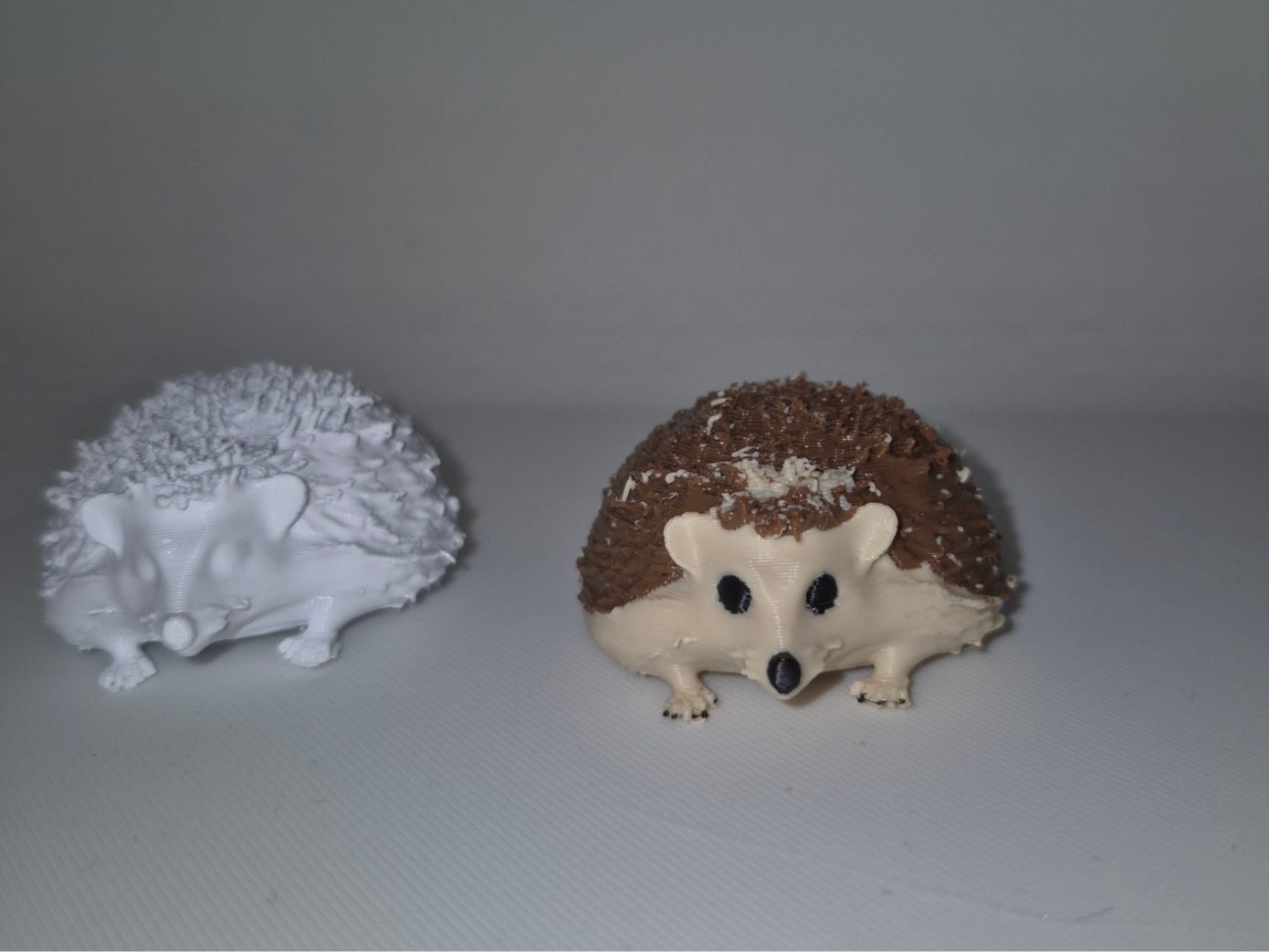 Cute Hedgehog