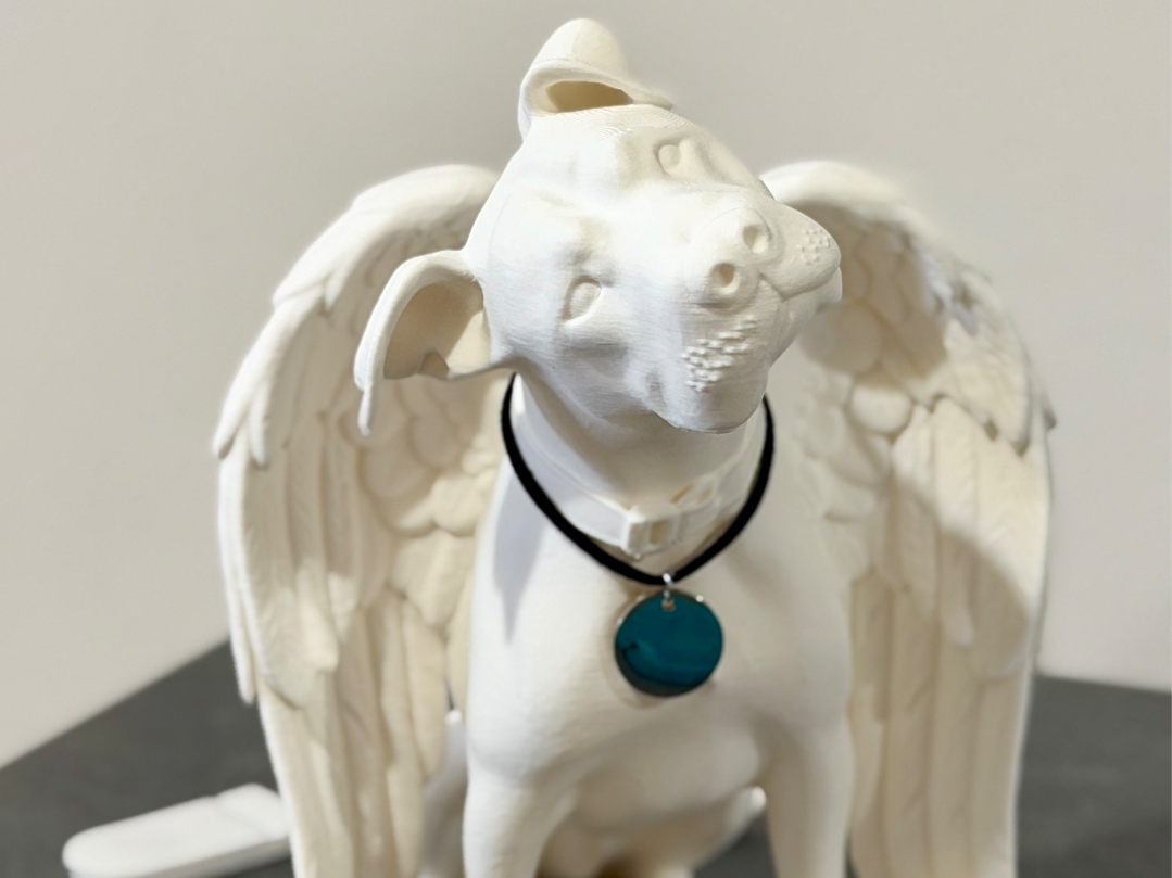 Angel American Bulldog