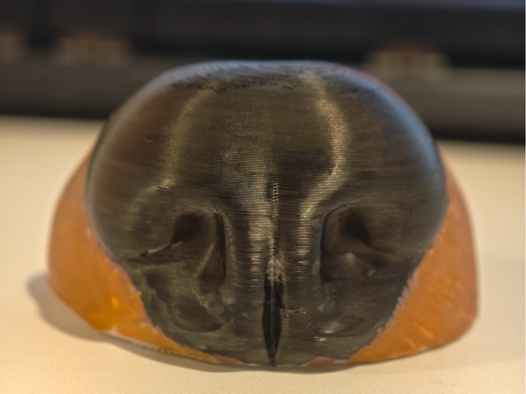 Dog Nose
