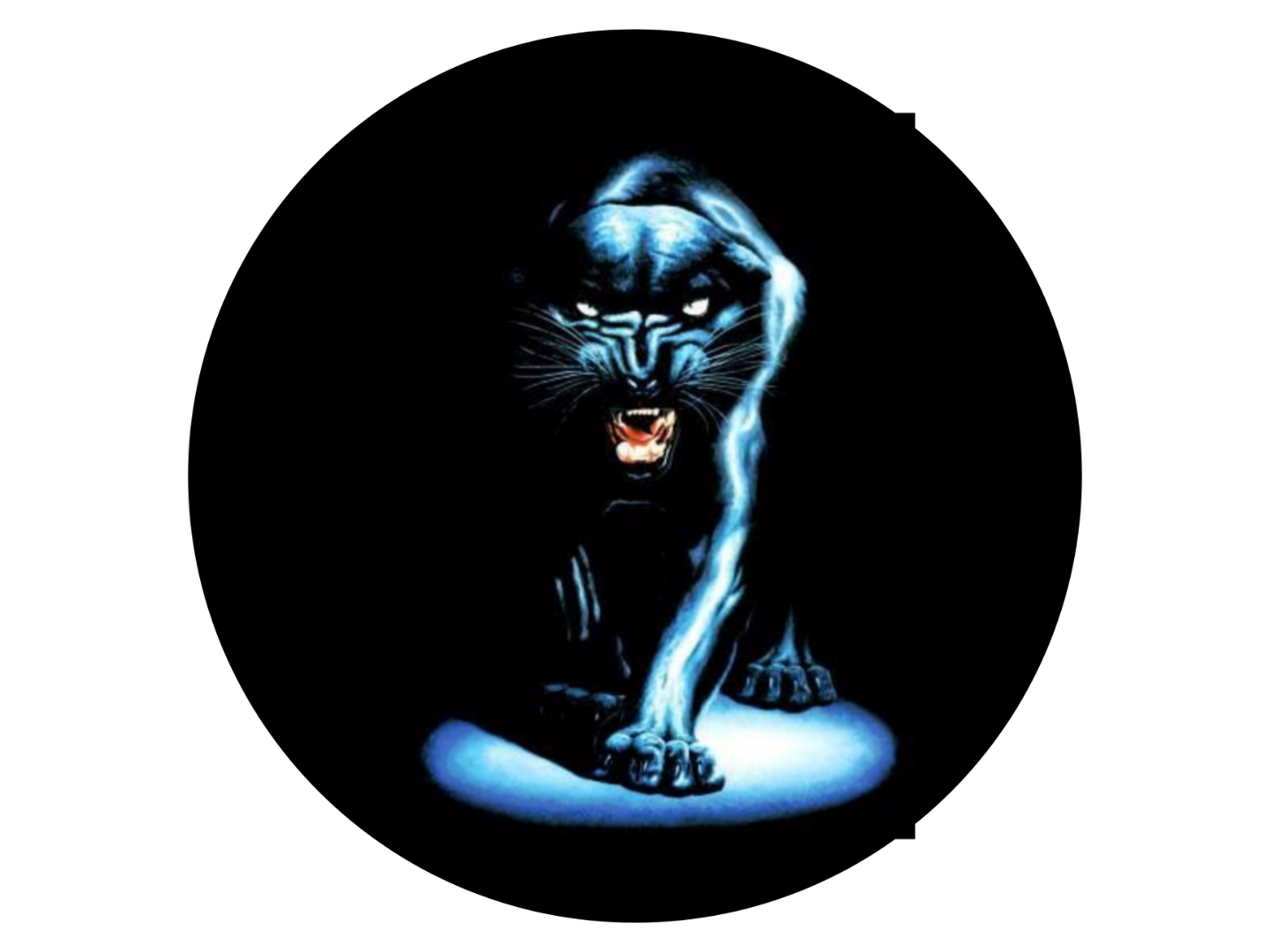 Panthers Clockface #2