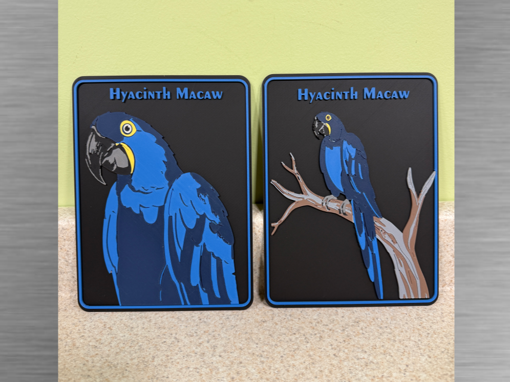 Exotic Birds-Hyacinth Macaw