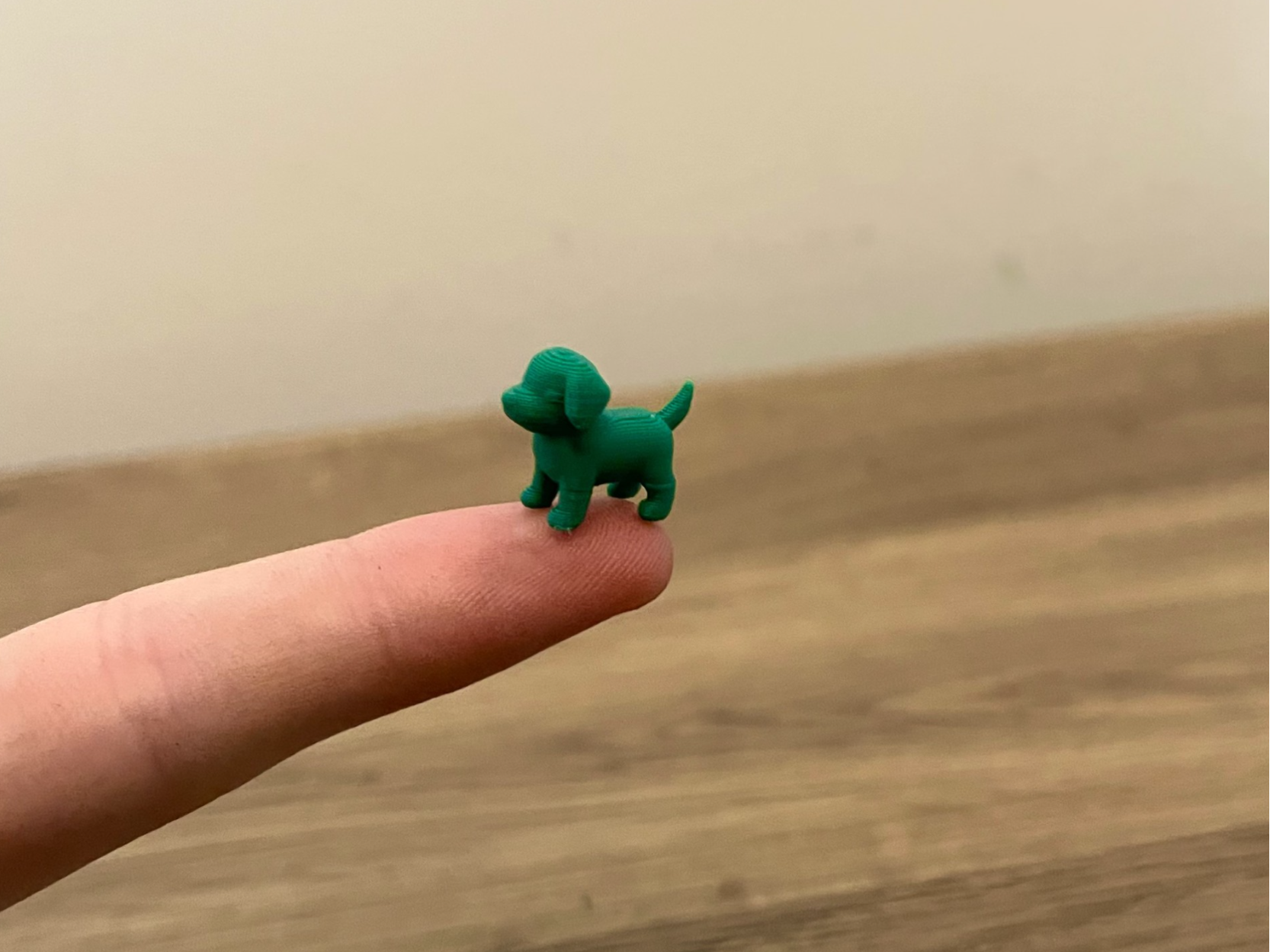 Worlds Smallest Dog