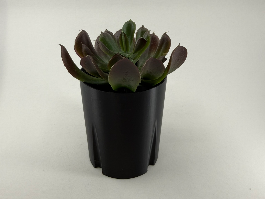 Seed starter pots 63.5mm 2.5 inch 32 per 1020 tray