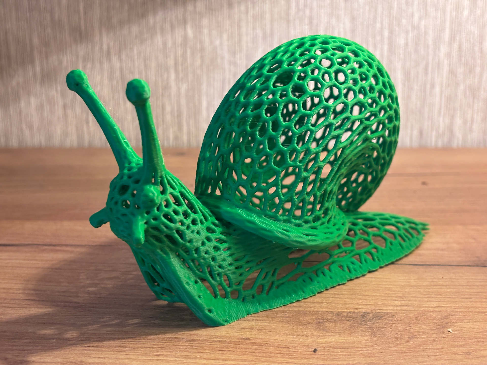Voronoi Snail