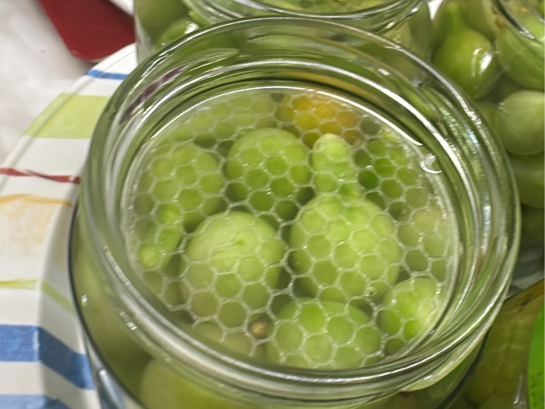 Fermentation/Pickle Jar Top Press Plate