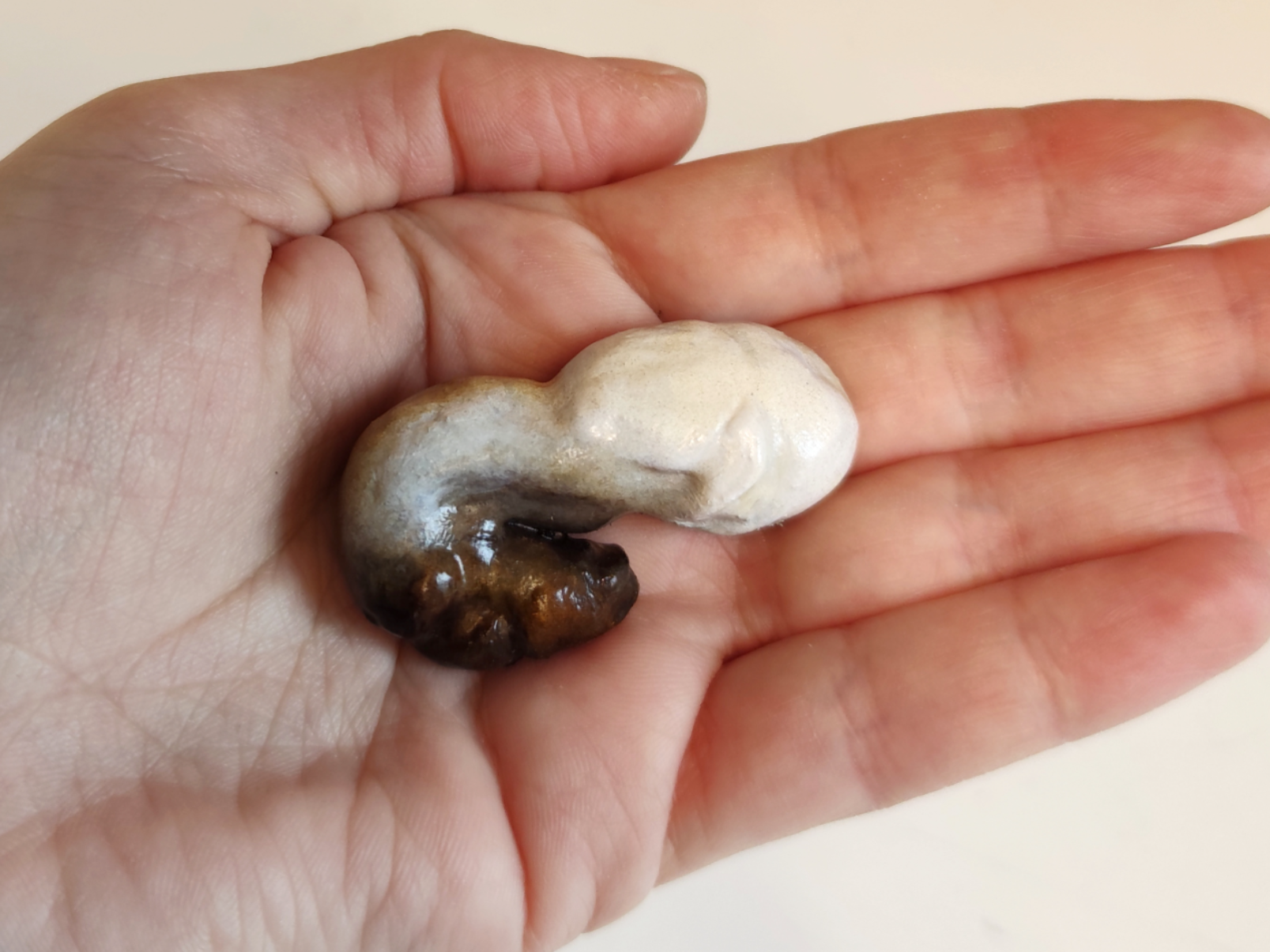 Bird poop - Fecal sac - Educational Model & toy